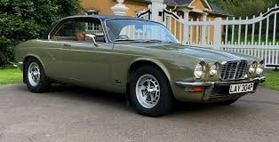 Image result for Fern Gray 1973 Jaguar