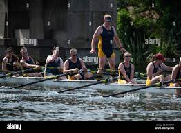 Image result for Isle Of Ely Rowing Club