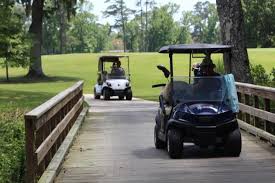 Image result for The Alt Golf Club