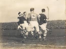 Image result for Limerick Draughts Club