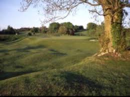 Image result for Carlow Golf Club