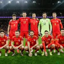 Image result for Caerbryn Association Football Club