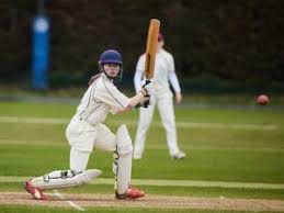 Image result for Wimbledon Cricket Club