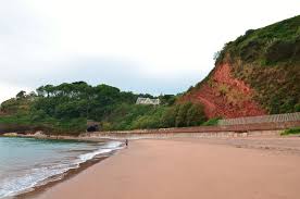 Image result for Dawlish Sc