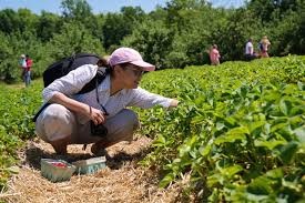 Sustainable agriculture, Australia