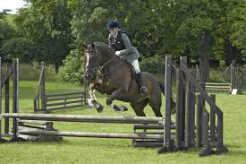 Image result for Bookham Riding Club