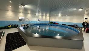 Image result for Robin Hood Dive School