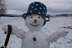 Image result for Schneemann