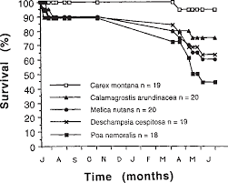 Attēlu rezultāti vaicājumam “Lopinga achine underside”