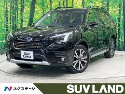 「ソフィア・フォレスター」の画像検索結果