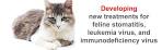 IMULAN - Canine Atopic Dermatitis and Feline Stomatitis