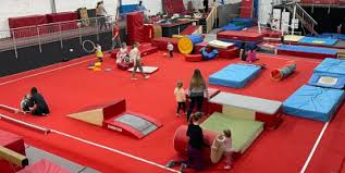 Image result for Stockport School Of Gymnastics