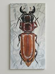 Attēlu rezultāti vaicājumam “Cerambycidae”