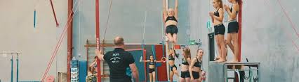 Image result for Abbey Flyers Trampoline Club