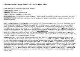 Attēlu rezultāti vaicājumam “Craterium minutum young”