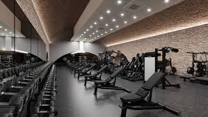 Image result for Cannons Health & Fitness Clubs