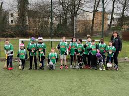 Image result for Ceann Creige Hurling and Camogie Club