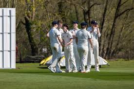 Image result for Llantwit Major Cavaliers Cricket Club