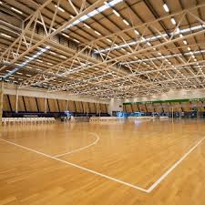 Image result for Sports Centre Netball