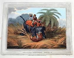 Image result for Shooting, Hunting, Fieldsports on Art prints from 1700's to 1900's