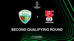 Image result for Newdigate F C