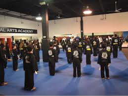 Image result for White Tiger Martial Arts