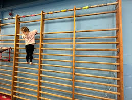 Image result for Rushmoor Amateur Gym Club