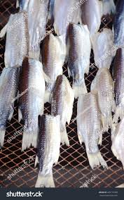 Image result for Liza aurata