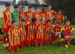 Image result for Manchester Metro Stars Fc