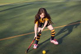 Image result for Abergavenny Hockey Club