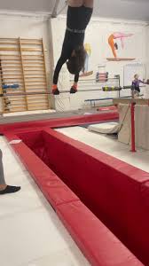 Image result for Brumby Gymnastics Club
