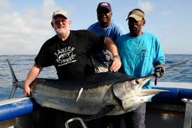 Image result for Istiompax indica