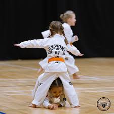 Image result for Itf Taekwondo Woking