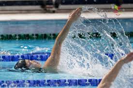 Image result for Taunton Deane Swimming Club