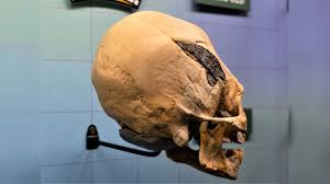 Image result for elongated skulls