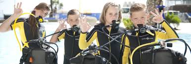 Image result for Stortford Divers