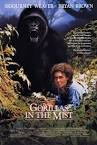Gorillas in the Mist movie posters at MovieGoods.