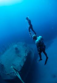 Image result for Notanx Freedive Club