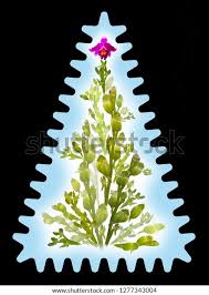 Attēlu rezultāti vaicājumam “Hammarbya paludosa leaf”