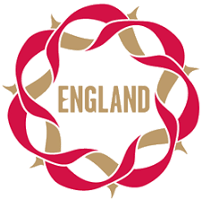 Image result for Crystal Palace Netball Club