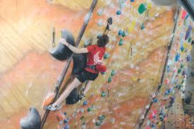 Image result for Craggy Island Climbing Centre