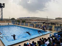 Image result for Thames Valley Swimming School