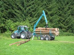 Image result for pfanzelt tehron