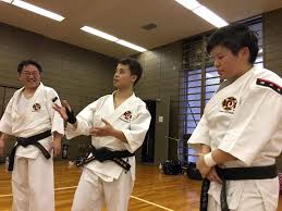 Image result for Durham University Shorinji Kempo Society Club
