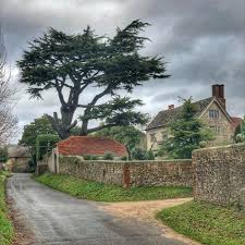 Image result for Pulborough Cricket Club