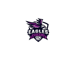 Image result for Eagles Netball Club