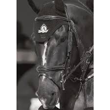 Image result for scheuklappen