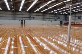 Image result for Sports Centre Netball