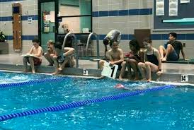 Image result for York University Pool Club