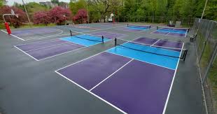 Image result for Dorset Pickleball Club